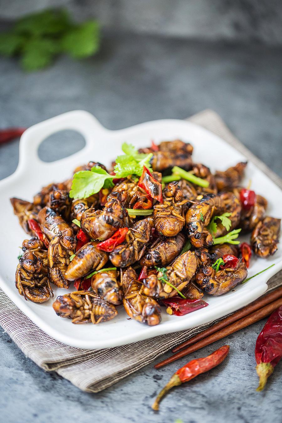 夏天是知了猴上市的季节,知了猴俗称爬叉,节了龟,金蝉,是蝉生活在泥土