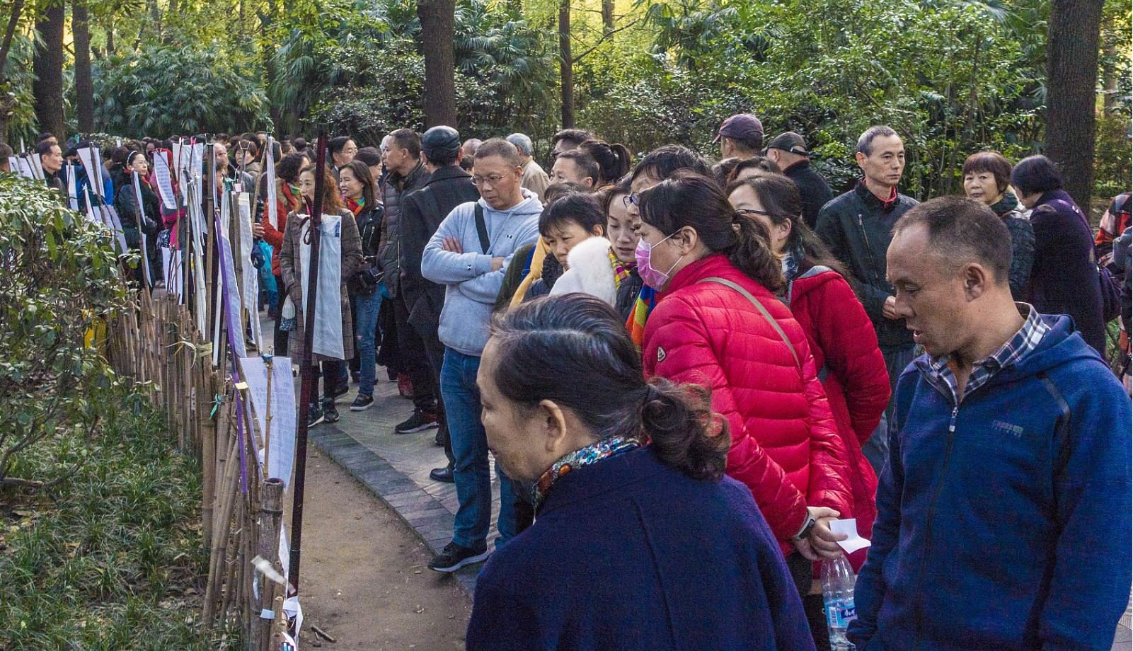 11月21日，四川成都，人民公园小树林的相亲角自发形成已有多年，树林里人头攒动，数百父母“摆摊”为儿女相亲，场面壮观。