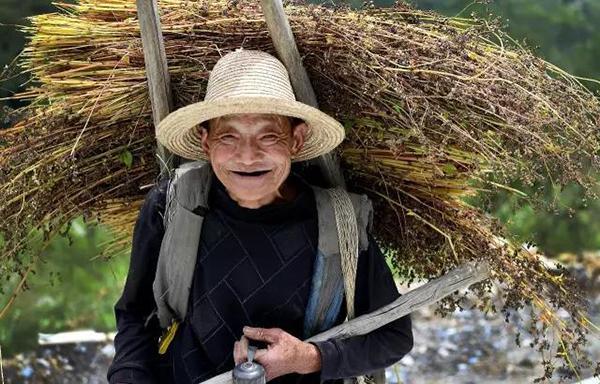 年近八旬的老爸,皱纹里刻满了对儿子的爱