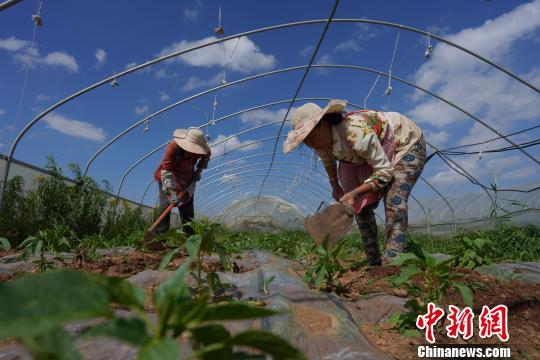 宁夏7年累计减贫83.4万人 贫困地区人均可支配收入超9000元(图1) 宁夏7年累计减贫83.4万人 贫困地区人均可支配收入超9000元(图1)