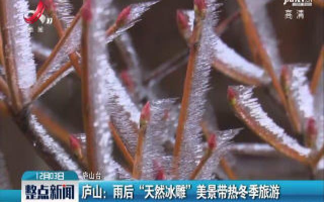 庐山：雨后“天然冰雕”美景带热冬季旅游