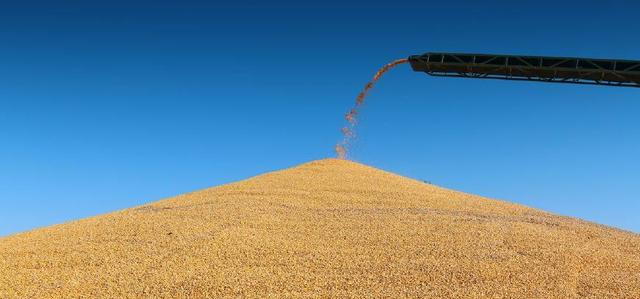 中国宣布将对粮食加征25%的关税,一场更恐怖