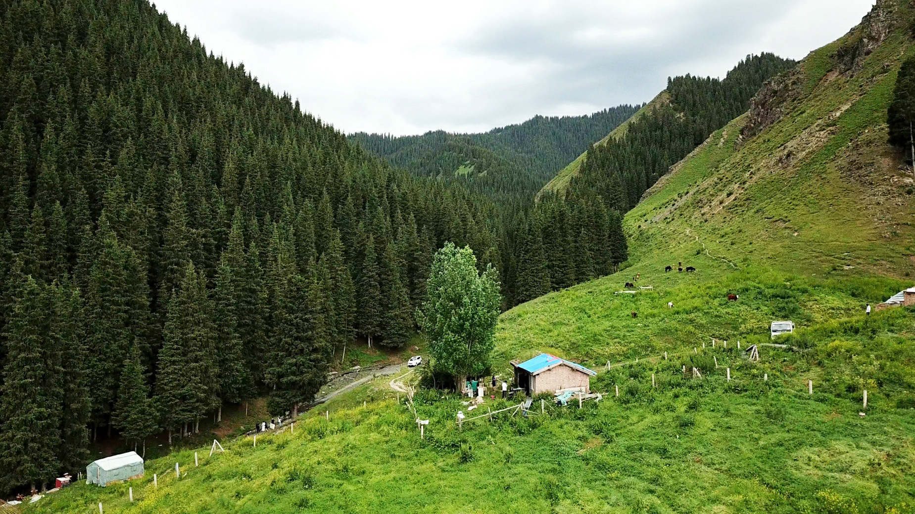 来，乌鲁木齐南山牧场看姑娘追