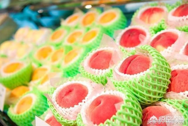 日本农民种植的的水果为什么能卖那么贵?