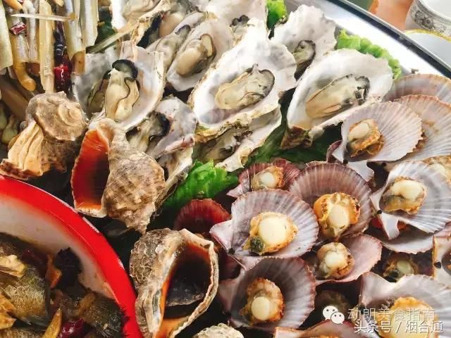 探班烟台东口合不拢嘴渔家乐!完整版!