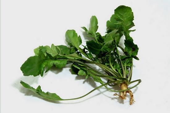 脾虚型幽门螺杆菌感染胃炎有什么症状表现?