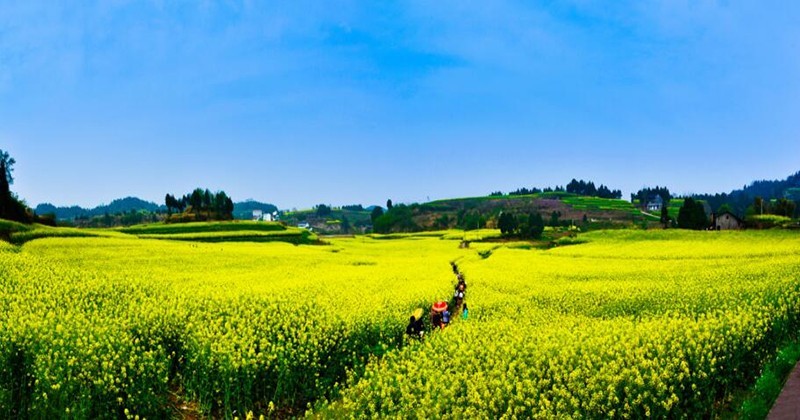 南充乡下风景图片图片