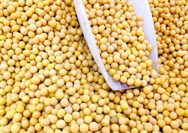 每年进口很多大豆,那么进口的大豆都用在哪里