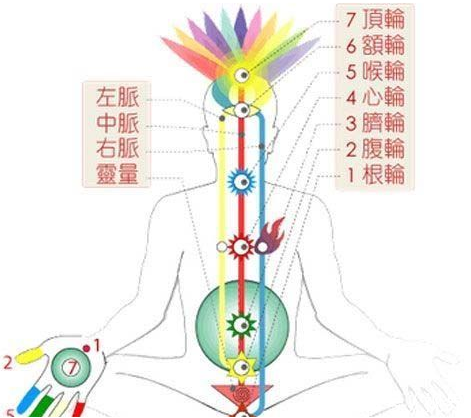 理论:这个理论认为人体有七处轮穴,它们可以从我们的头顶向我们的脚