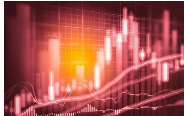 民间股神林园:长期持股不动的散户能赚钱吗,散