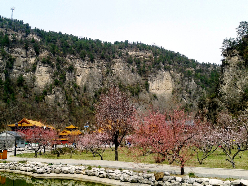 齐晨曦:山间四时 游净影寺