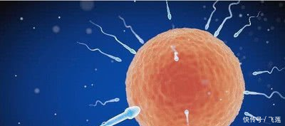 受精卵着床需要几天这4种症状一出现,说明受精