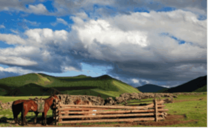 领土面积近伊朗? 而人口却只有三百万国家的真