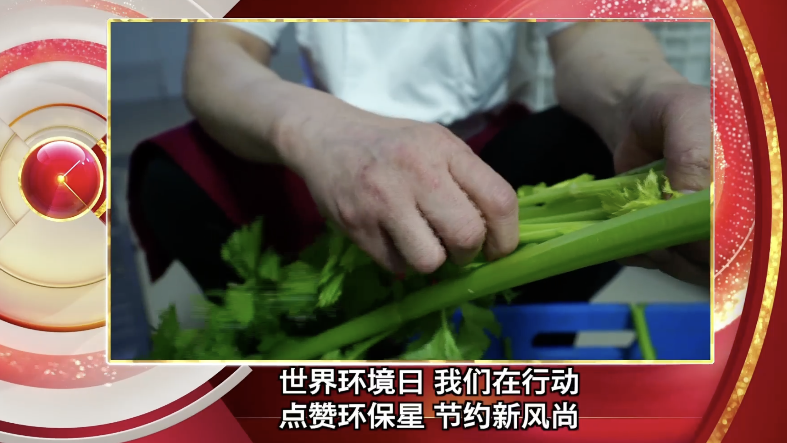 《诚信北京》特别节目《世界环境日 我们在行动》