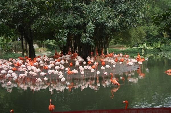 长隆世界,带孩子广州游必去的新景点,广东行6