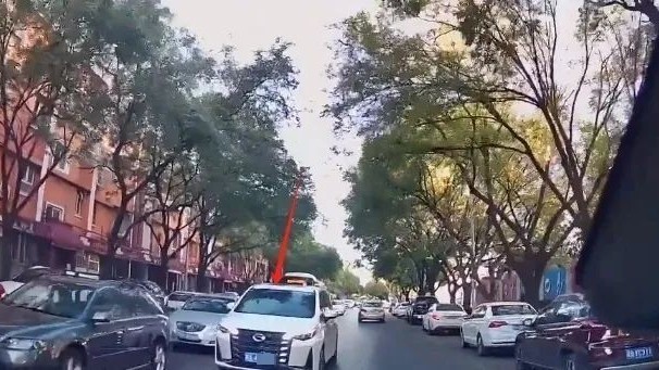 您随手拍举报的交通违法已查处