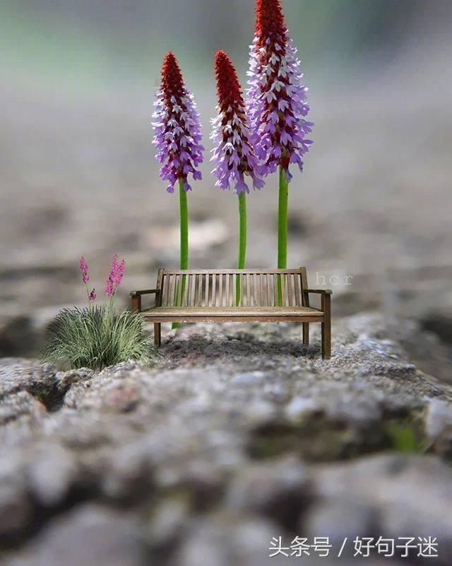 适合早上发的说说短句,句句正能量,拿去发朋友