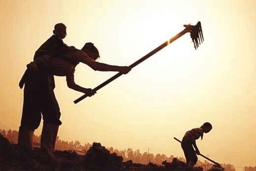 大学毕业后结婚,因为6万元彩礼和父亲断绝关系