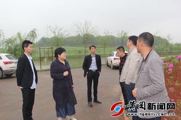 麻城白果镇组织干部考察党建和美丽乡村建设