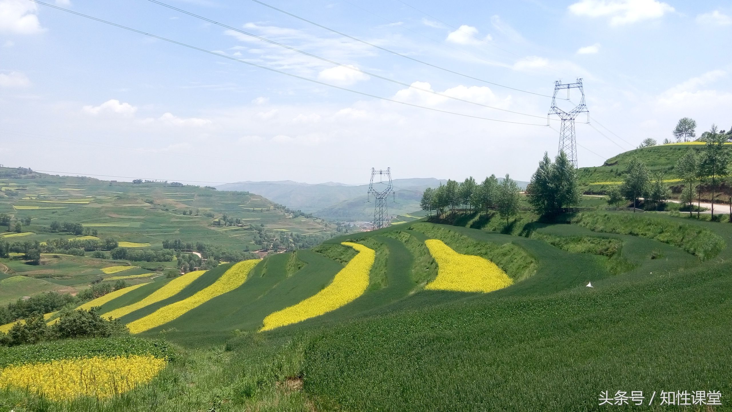 原创最美不过家乡美,青海的夏季之美