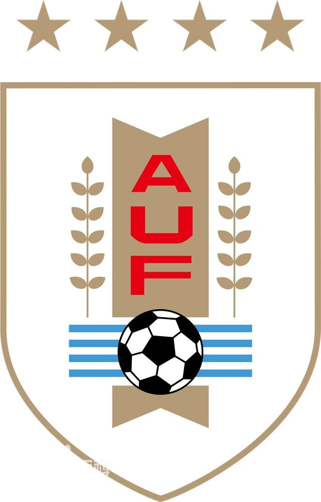 世界杯16强实力排名,谁最有机会夺冠