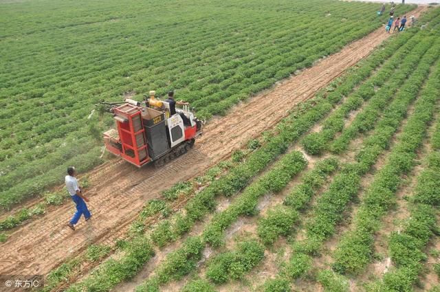 农村包地挣钱吗?土地流转政策是否对农民有益