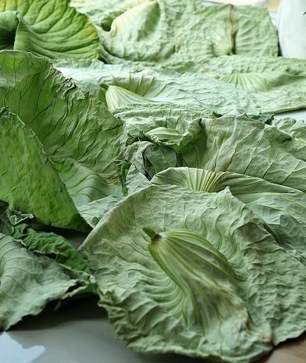 荷叶茶如何制作? 自制美颜瘦身减脂荷叶茶