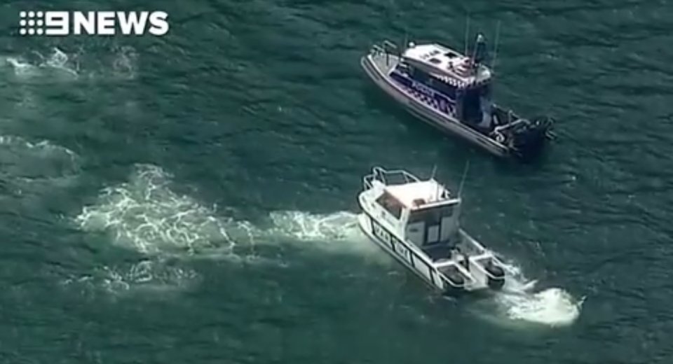 悉尼一架水上飞机坠毁,包括飞行员在内6名人员