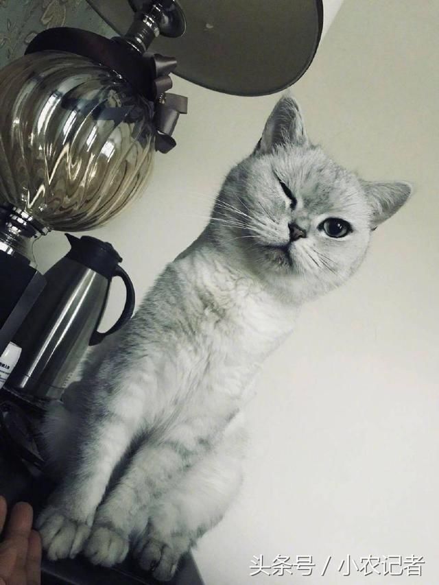 重拳出击!崔永元宣布尊重决定停止爆料,袁立:邪