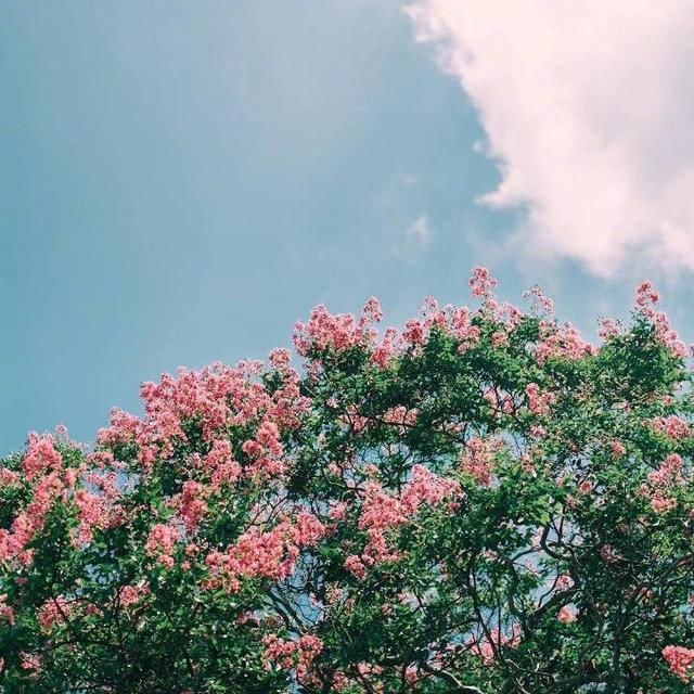 北岛最经典的十首诗,值得收藏