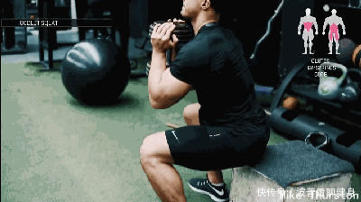 不去健身房如何练腿?在家练这4个深蹲动作,增