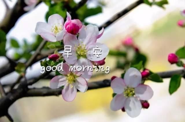 激励人不忘初心的句子 鼓励人勿忘初心的励志