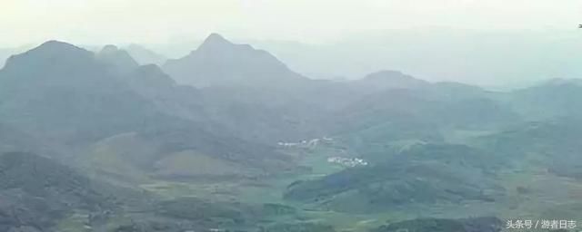 中国荔枝排行榜:哪里的荔枝最好吃?