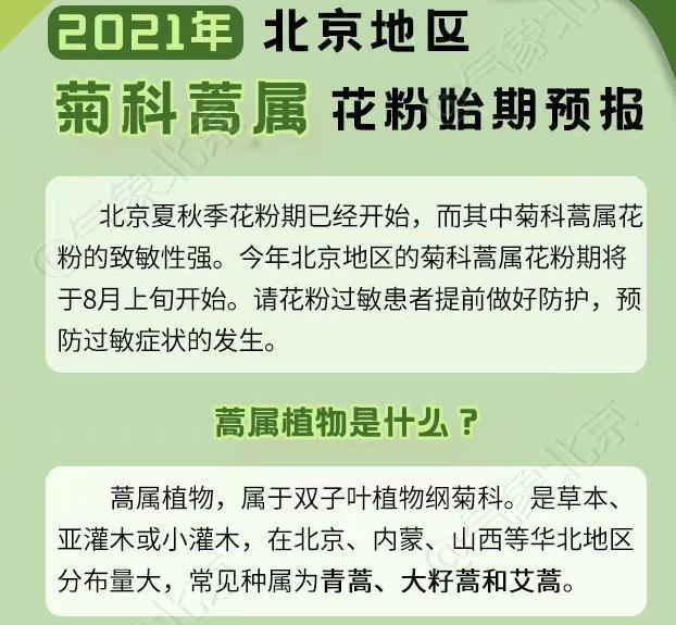 北京夏秋季花粉期开始 花粉过敏患者提前做好防护 千龙网 中国首都网 北京夏秋季花粉期开始 花粉过敏患者提前做好防护 千龙网 中国首都网