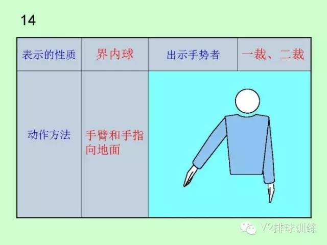 排球裁判员的法定手势和司线员旗示