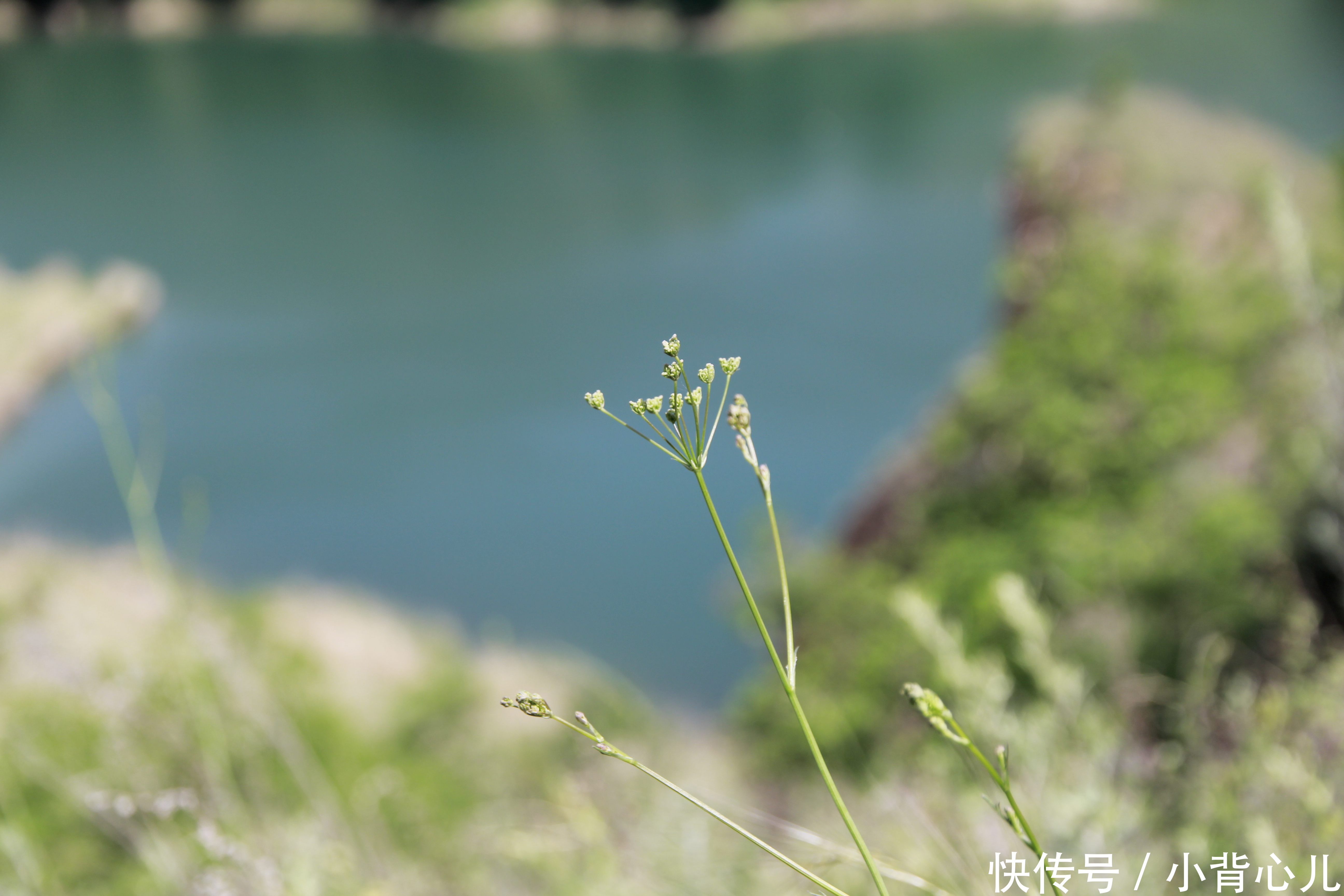 真的有风险低收益高的理财产品吗?