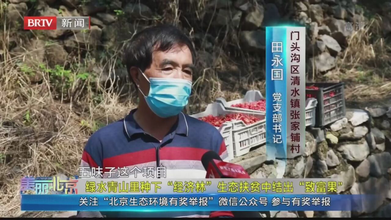 《美丽北京》20211201绿水青山里种下“经济林”生态扶贫中结出“致富果” 《美丽北京》20211201绿水青山里种下“经济林”生态扶贫中结出“致富果”