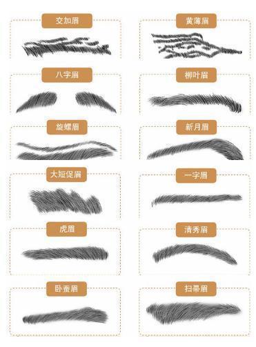 男生的眉型都有哪些? 男生的眉型都有哪些?