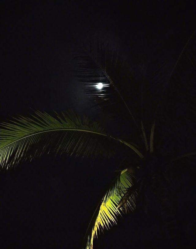 小米雷军拍照老厉害了!但这次雷军用MIX 2拍夜