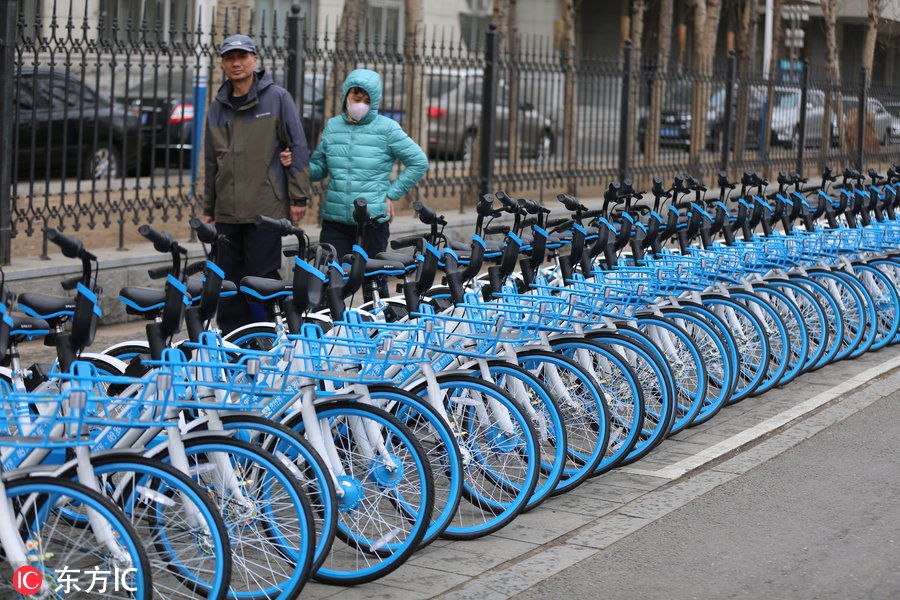 哈罗共享单车大批量投入沈阳 芝麻信用超六百