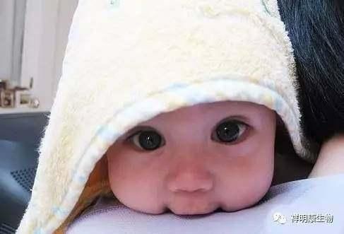 怀孕吃什么能让宝宝眼睛很大很漂亮?这5种食