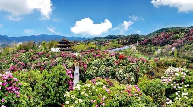 南線:貴陽(花溪國家城市溼地公園)-龍里(龍里草原,谷腳自行車主題公園