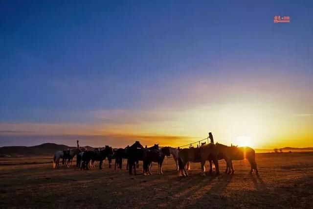 达日罕的姑娘出嫁了(蒙古族传统婚礼)