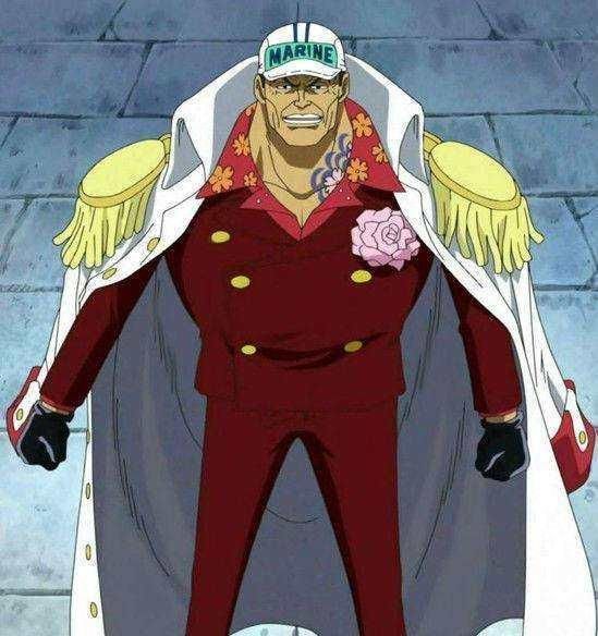 海贼王中可以匹敌四皇的角色,有的甚至还未出场