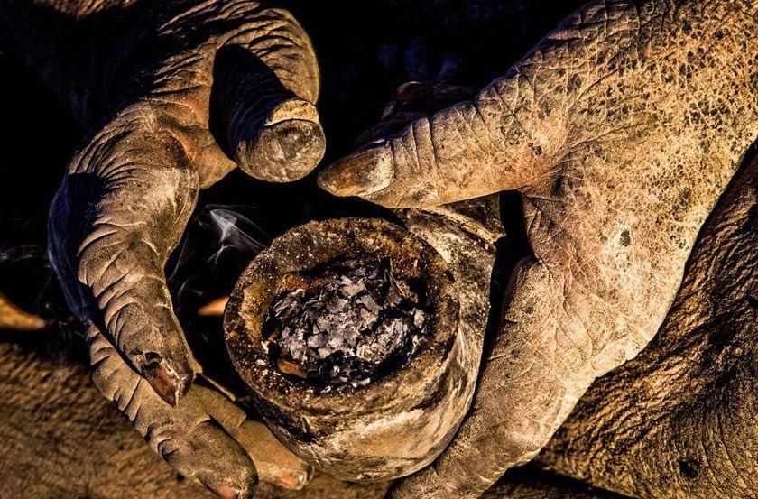 吃箭猪腐肉,喝脏水;而他的这只钢制烟斗,吸食的并非烟草,而是动物粪便