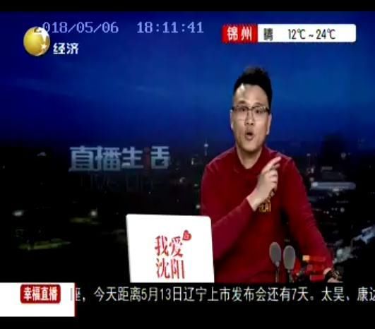 辽宁经济频道宋MAX幸福加推六座上市直播