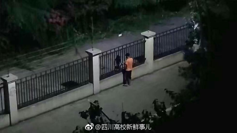 心酸的浪漫 两高校情侣隔着栅栏拥抱 心酸的浪漫 两高校情侣隔着栅栏拥抱