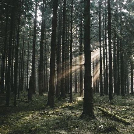 看透人心心酸的句子,句句精辟,你经历过吗?