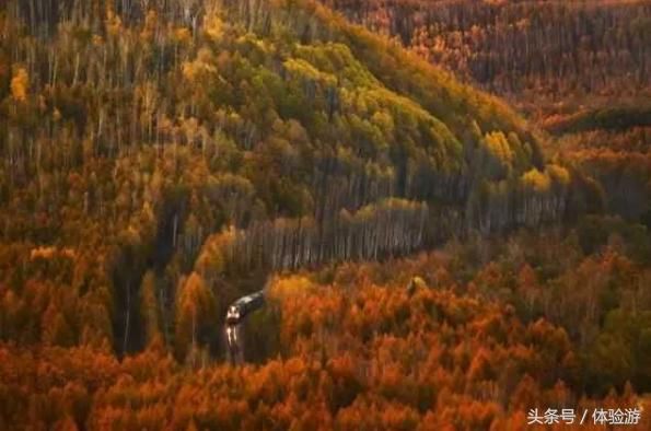坐上火车旅行吧 穿越长白山的山谷溪流 大兴安