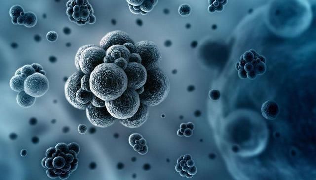 宝宝发烧了,怎么分辨是细菌感染还是病毒感染